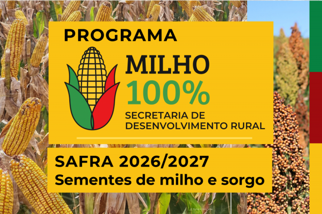 Rio Grande manifesta interesse em participar da edição 2026/2027 do Programa Milho 100%