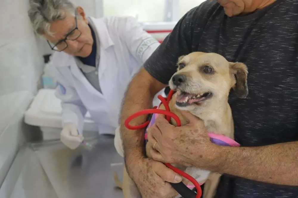 Julho Dourado reforça cuidados com a saúde animal e a prevenção de zoonoses em São José do Norte
