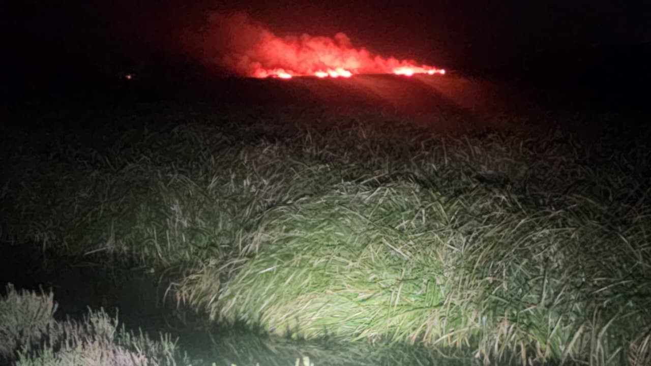 Bombeiros combatem incêndios em área de vegetação e pátio automotivo em Rio Grande