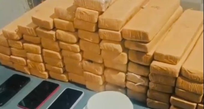Brigada Militar apreende 44kg de maconha em Pelotas