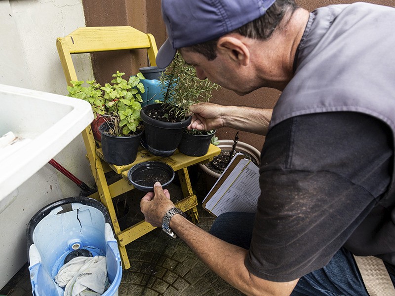 Pelotas se mantém estável nos quadros de dengue