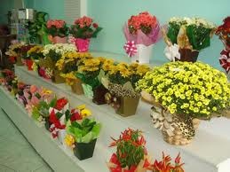 Inscrições para o comércio de flores estão abertas