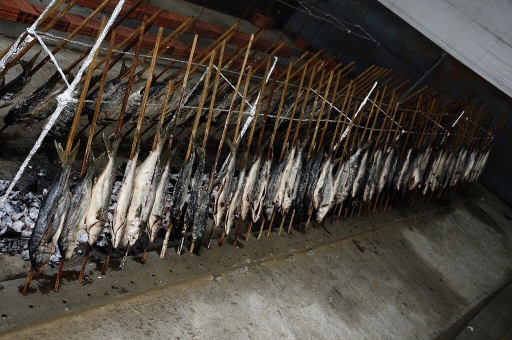 Mais de 800 anchovas já foram comercializadas na 16ª Festa do Mar