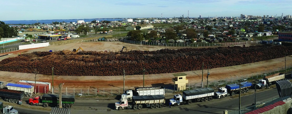 Pátio de Toras já está em operação no Porto Novo