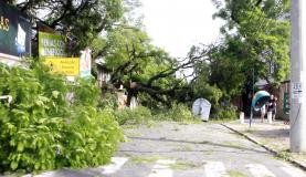Porto Alegre: 33 mil pessoas continuam sem energia após temporal