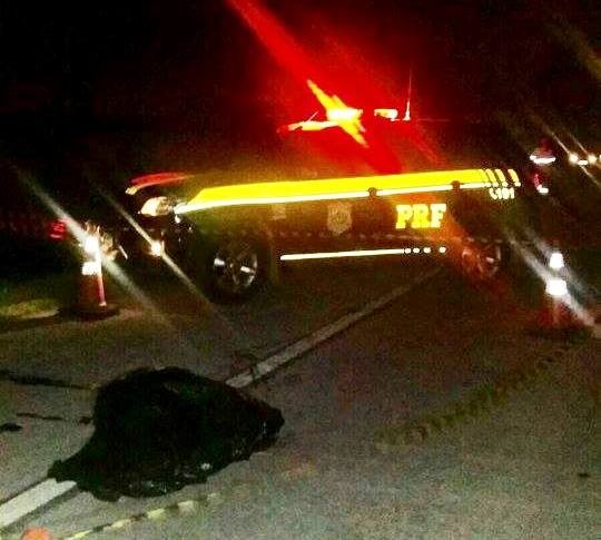 Homem morre atropelado na BR 392 em Rio Grande