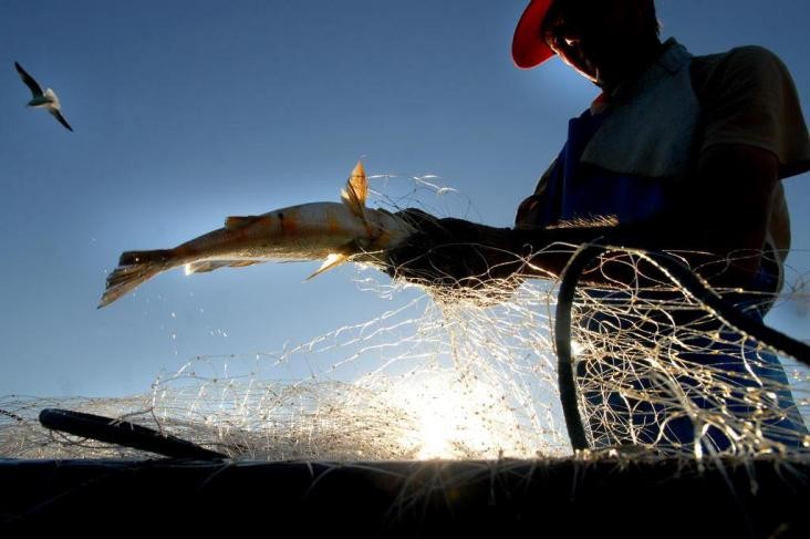 Retomada de período que proíbe pesca custará R$ 1,7 bilhão, diz governo