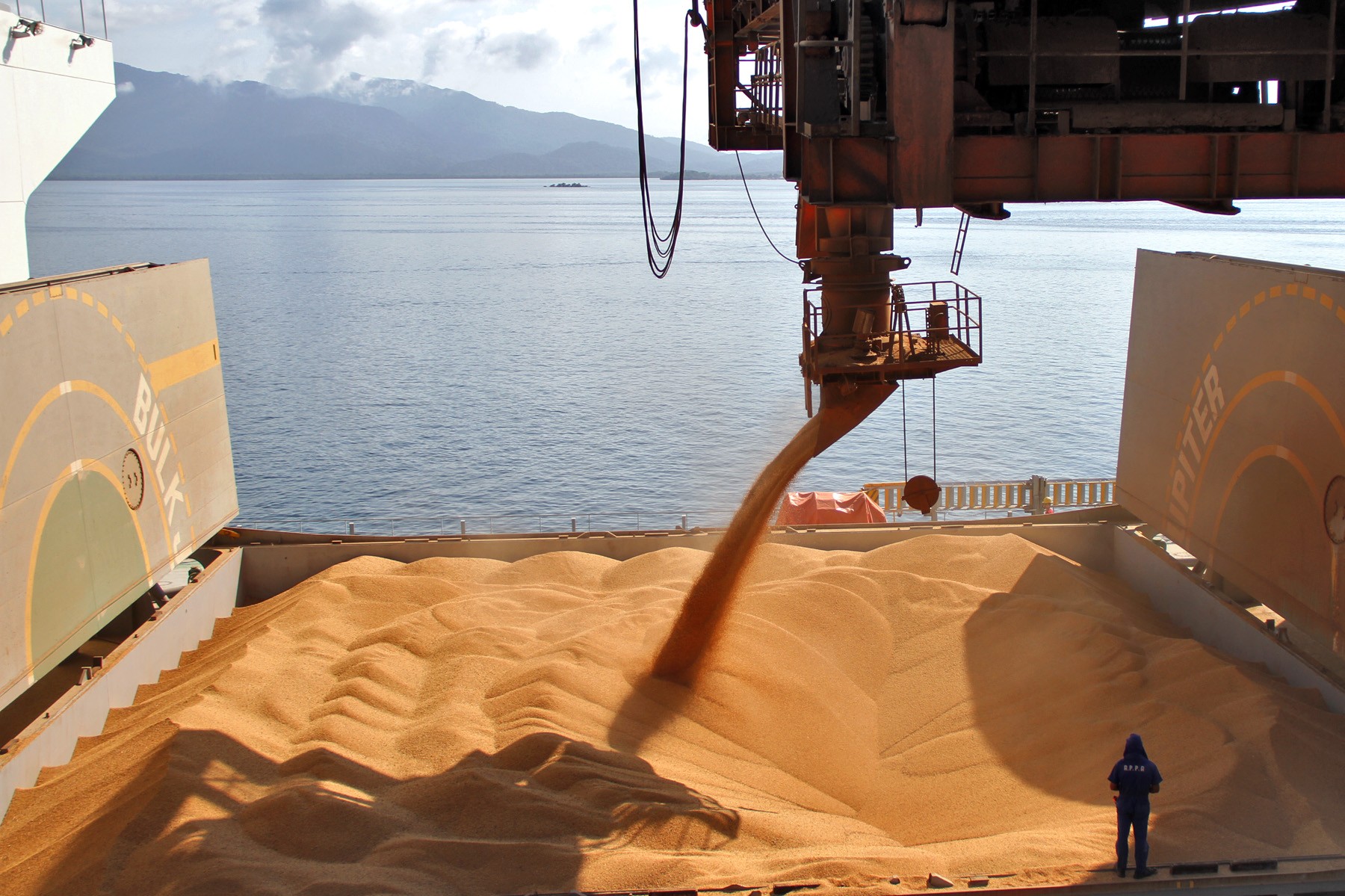Exportações de soja registram recorde para outubro e alavancam volume exportado