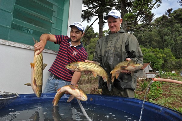 Comercialização de peixe aumentou na Semana Santa deste ano em todo RS
