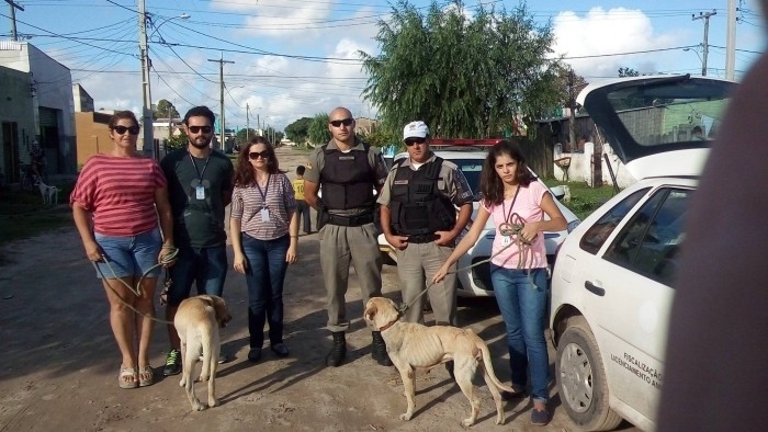 Órgãos da Prefeitura e Polícia Comunitária realizam ação de combate a maus tratos de animais