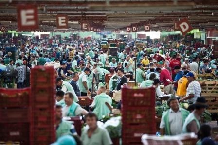 Ceasa/RS movimentou mais de R$1 bi em 2015