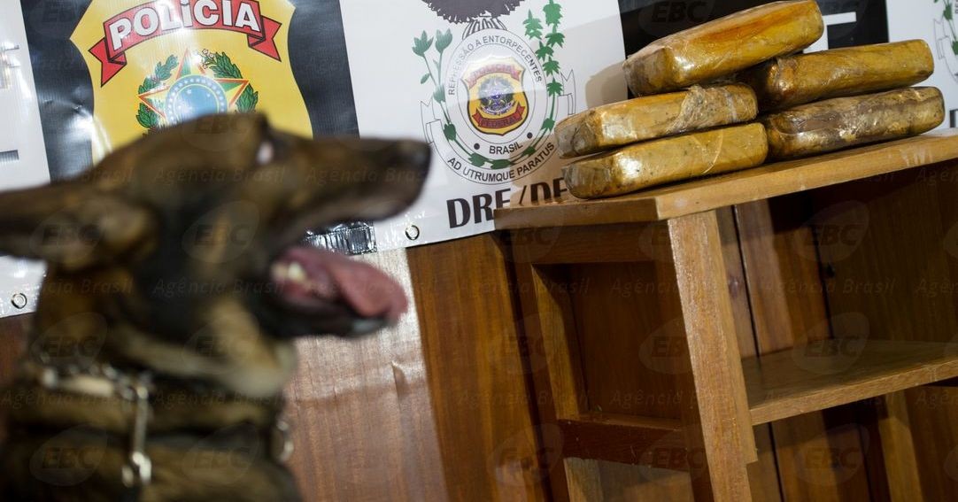 PF desarticula quadrilha que trazia drogas do Paraguai para Porto Alegre