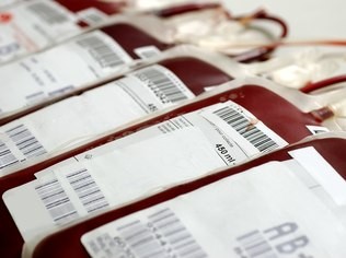 Hemocentro vai se comunicar com doadores de sangue por mensagem em celular