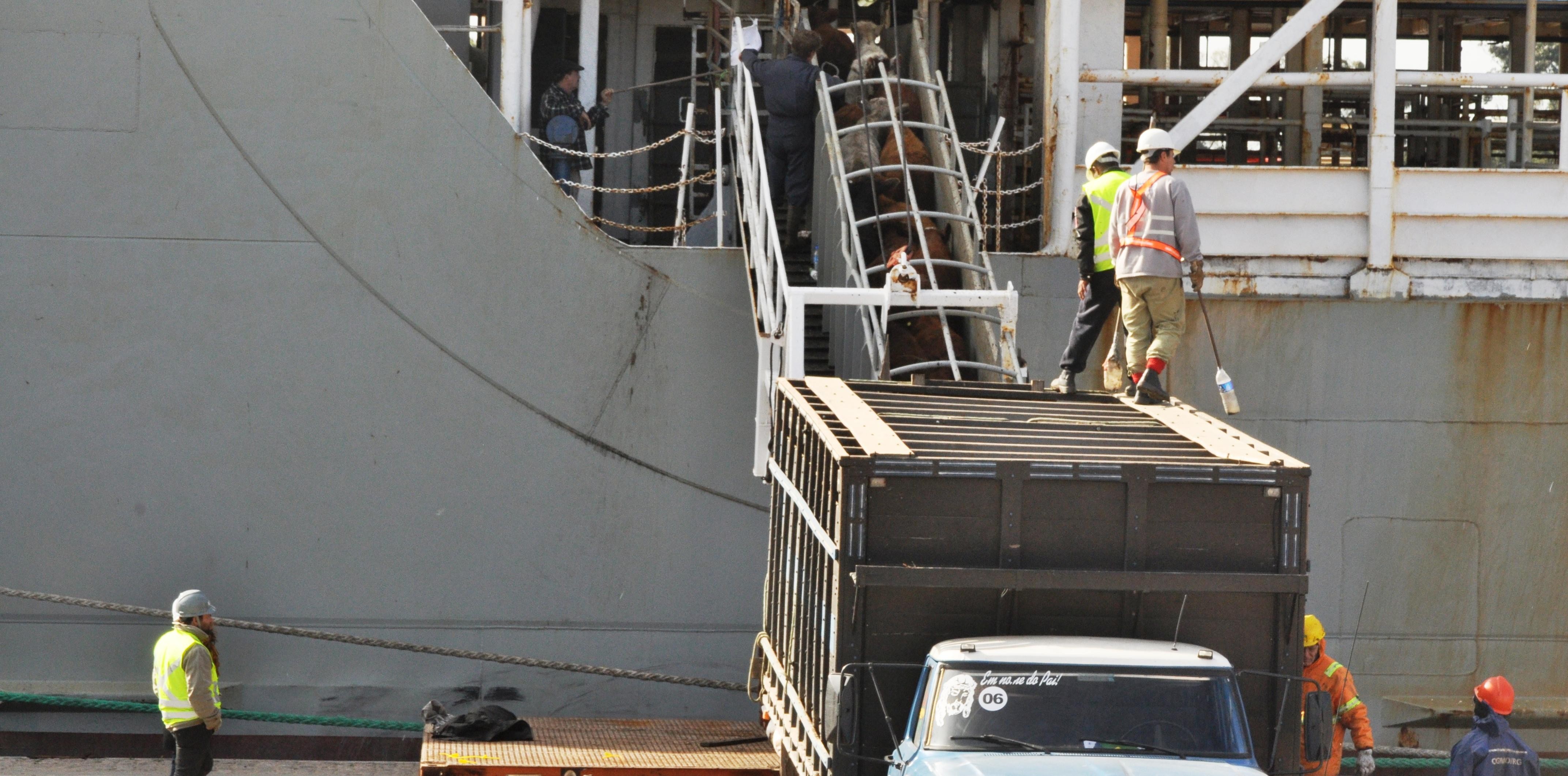 Terceira operação de carga viva chega ao Porto Novo 