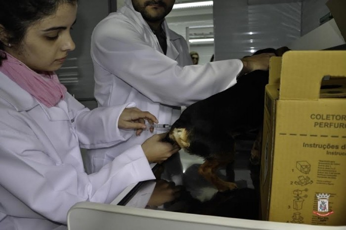  Castramóvel encerra atividades na Zona 6 e inicia na Zona 4