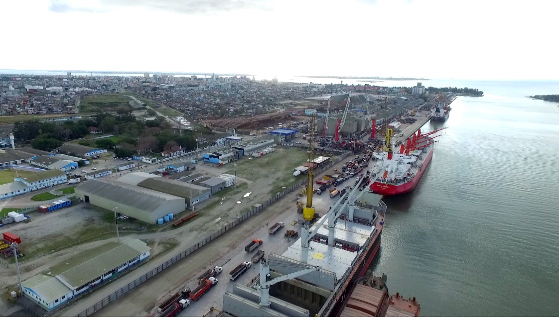 Cevada, Celulose e Gado são destaques do complexo