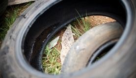 Especialistas não descartam novo surto de dengue e zika com a chegada do verão