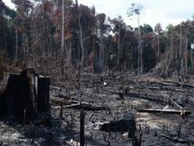 Efeitos das mudanças climáticas já prejudicam vida dos brasileiros