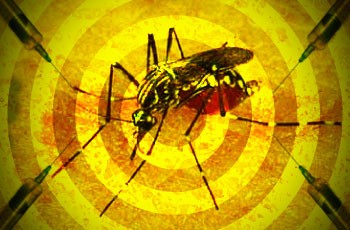 Número de mortes confirmadas por febre amarela em Minas Gerais chega a 32