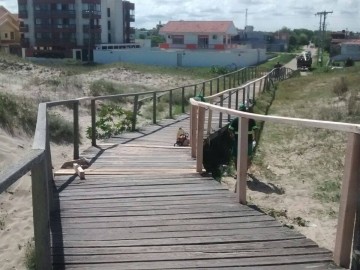 Novas lixeiras são instaladas na Av. Rio Grande e passarela ganha reparos no Cassino