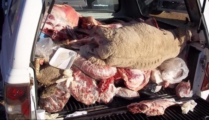Vigilância Sanitária alerta sobre os riscos do consumo da carne clandestina