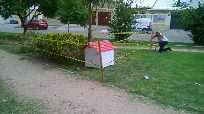 Coordenadoria dos Animais instala abrigo para cadela comunitária e filhotes