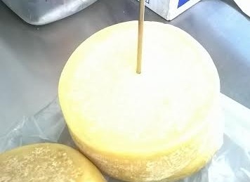 Queijos coloniais são recolhidos em comércio local