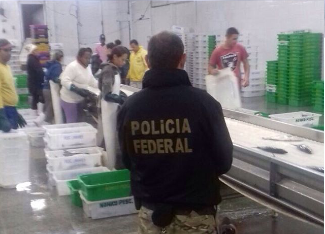15 toneladas de peixe são apreendidas em RG