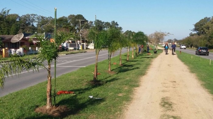 Projeto de Arborização e Paisagismo da ERS 734: ciclovia Bolaxa-Cassino recebe plantio de mudas