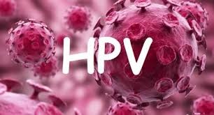SJN realiza Ciclo de Palestras sobre HPV