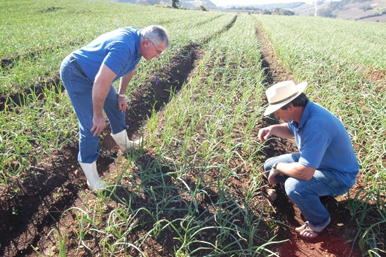 Município inicia 2ª fase do projeto de correção de acidez do solo na Zona Rural