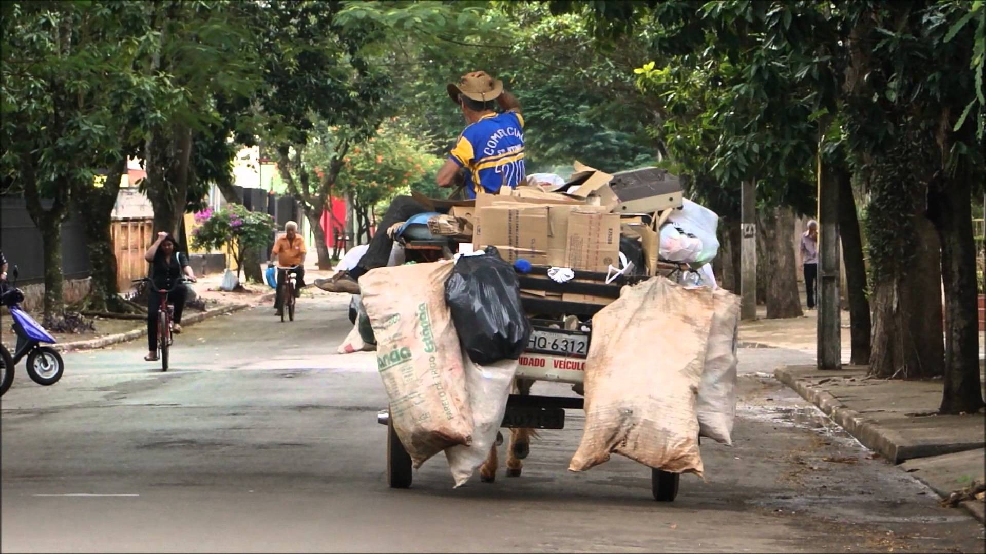Programa prevê redução gradativa do uso de veículos de tração animal