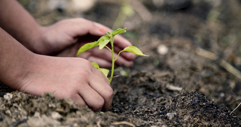 SJN realiza Seminário de Educação Ambiental Escolar