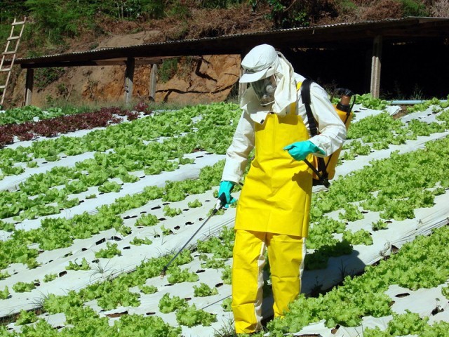 Grupo de Controle e Monitoramento de Agrotóxicos realiza plenária