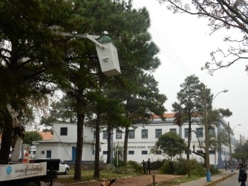 Poda acontece em árvores na Praça das Forças Armadas