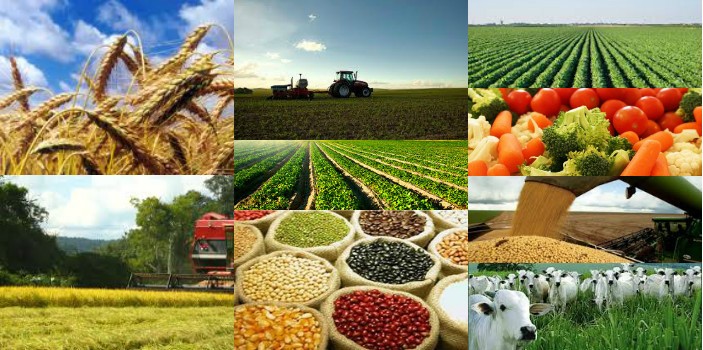 Agronegócio gaúcho gera quase sete mil empregos neste primeiro semestre