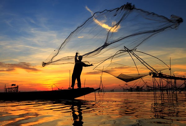Registros suspensos ou em análise de pescadores passam a valer em todo território nacional