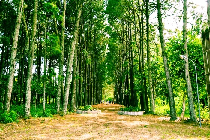 Horto Municipal do Cassino está aberto a visitação todas as quartas-feiras e sábados