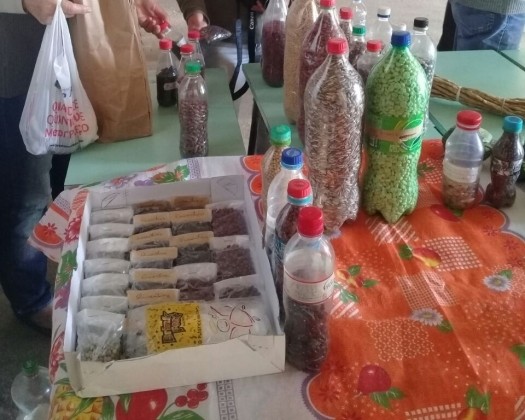 Sementes crioulas buscam selo de valorização para comercialização em Rio Grande