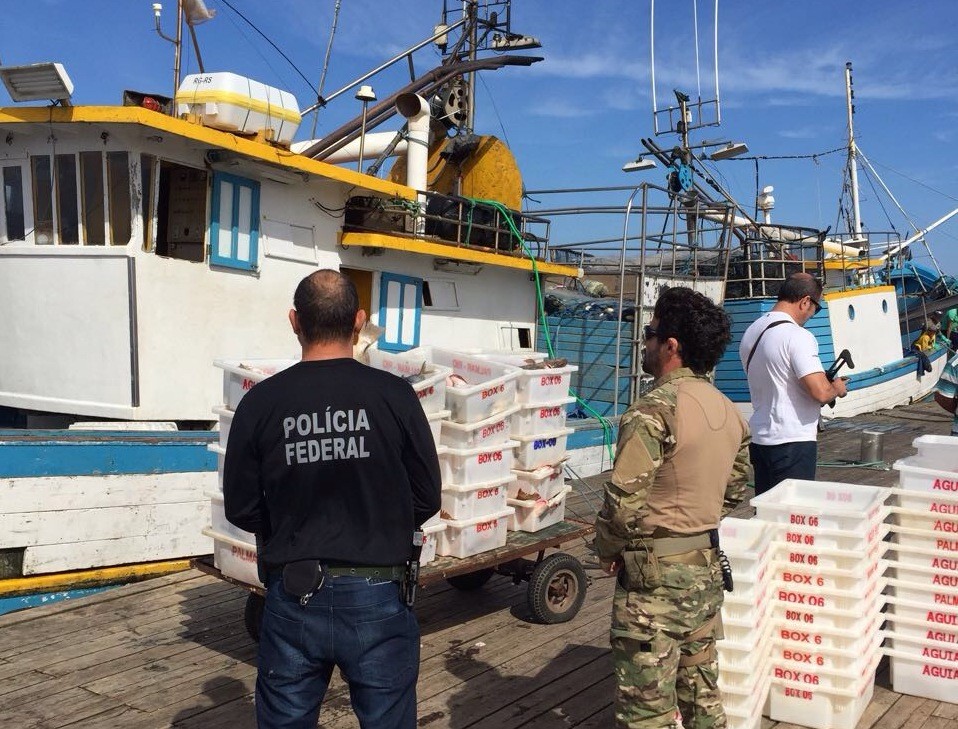 PF apreende aproximadamente 500 kg de pescados em Rio Grande