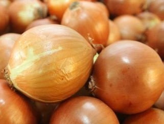 Produtores nortenses comemoram aumento da alíquota de importação da cebola