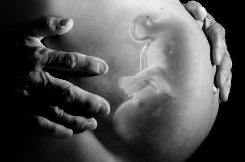 Primeiro bebê do ano é uma menina em Rio Grande