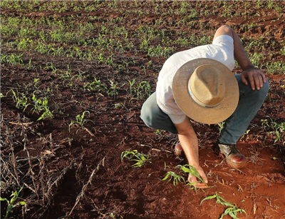 SJN terá atendimento especial durante Censo do Produtor Rural