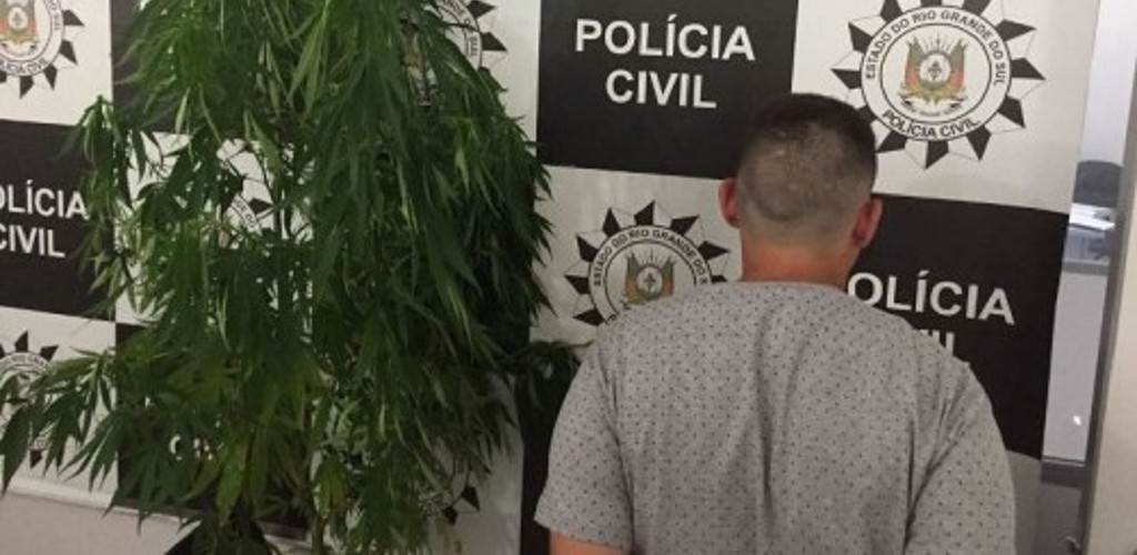 Homem é preso com pé de maconha medindo 1,70 metros