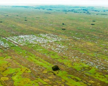 Audiência pública discute proposta de recategorização de Reserva Biológica