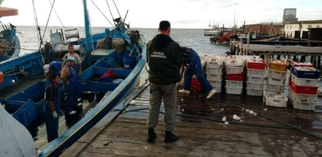 Operação Farfante apreende mais de 7 toneladas de pescado na Região Sul