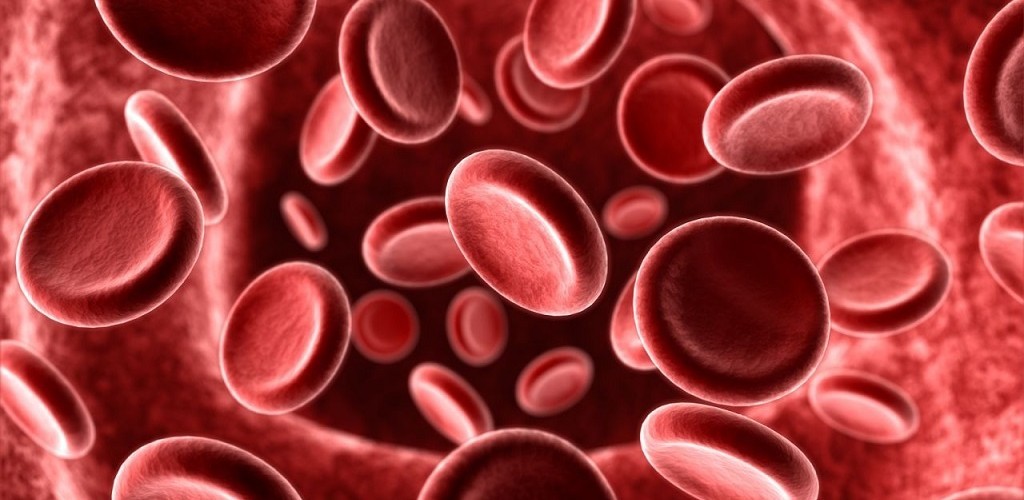 Alternativas à transfusão de sangue serão abordadas no HU