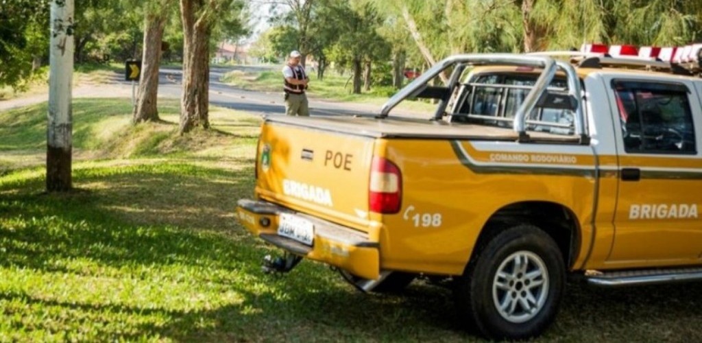 Operação Golfinho termina com resultados positivos