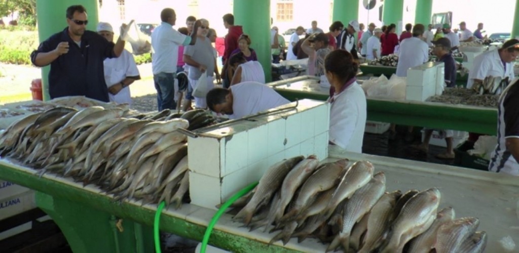 5ª edição da Feira do Peixe da Semana Santa inicia na quarta-feira