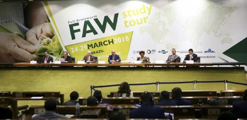 Brasil ajuda países africanos a combater lagarta que ataca milho, algodão e soja
